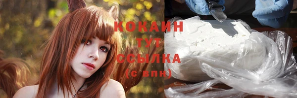 Альфа ПВП Елизово