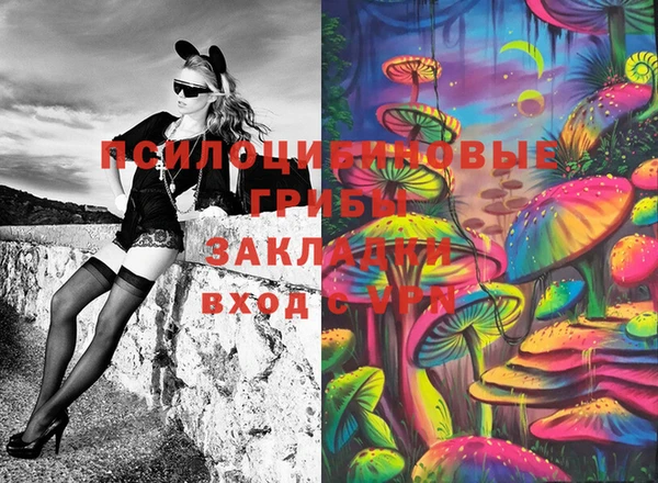герыч Ельня