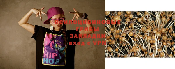 Альфа ПВП Елизово